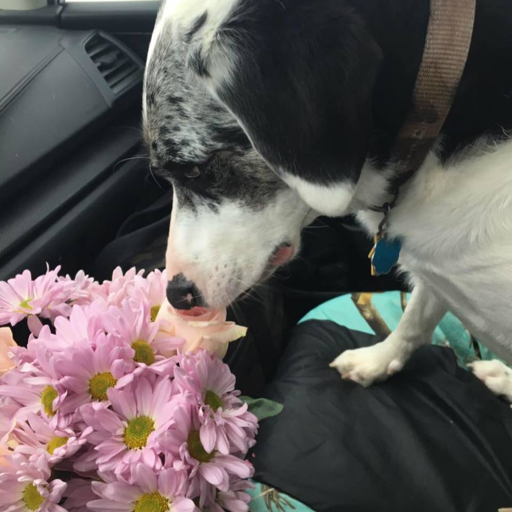 Meet your Posher, Resa